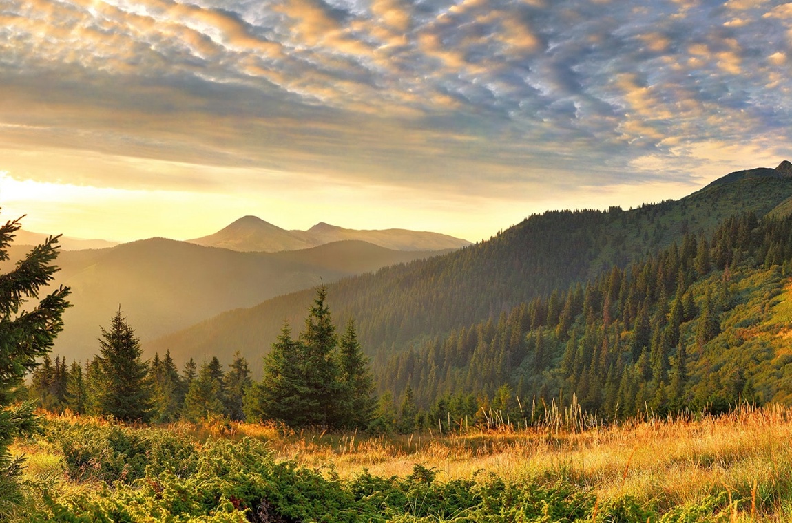Величні краєвиди українських Карпат